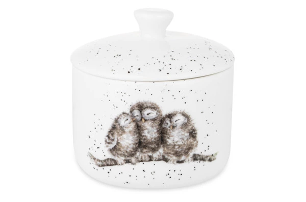 Банка для хранения с крышкой Royal Worcester Забавная фауна Совы 9,5х10 см, форфор костяной
